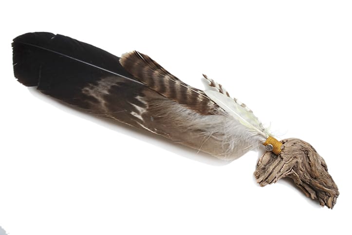 photo of feather fan